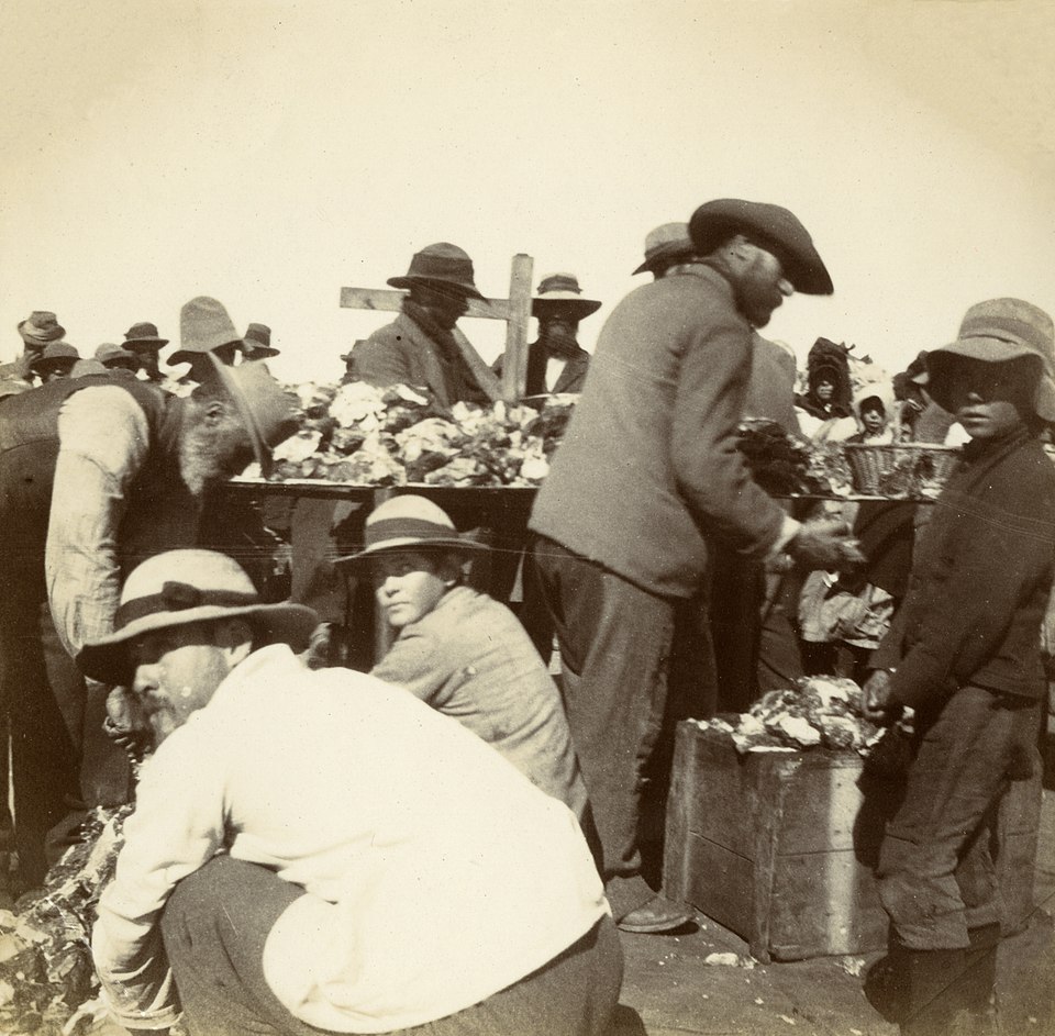 Springfontein kamp